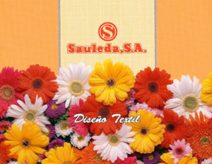 sauleda-historia-colecciones-1997