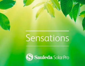 sauleda-historia-colecciones-2014