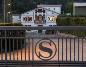 sauleda-trayectoria-1967