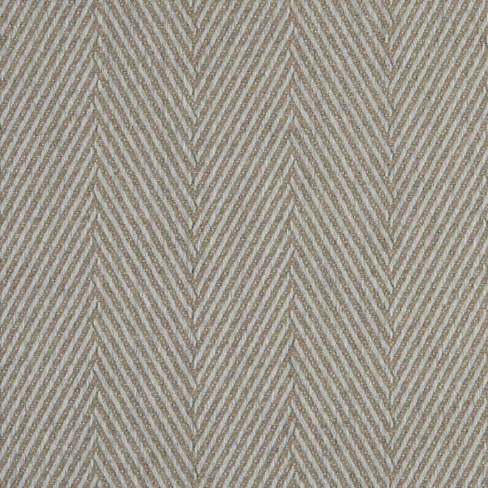 AGORA ESQUIRE FOSSIL
