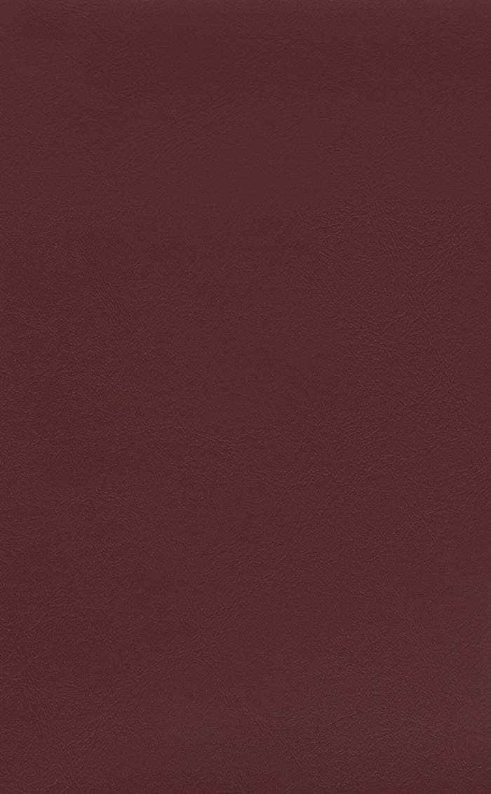 SAULEDA SEA SKIN GRANATE