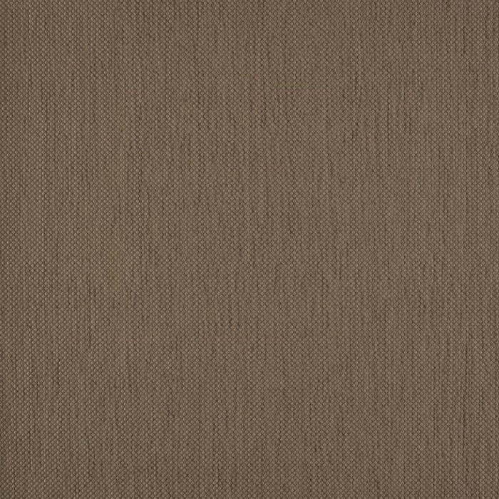 AGORA ARGOS COCONUT