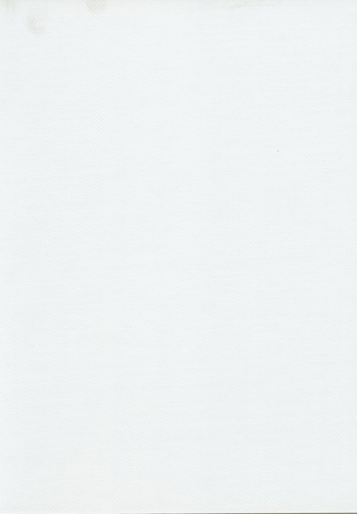 SOLTIS OPAQUE B-702-455