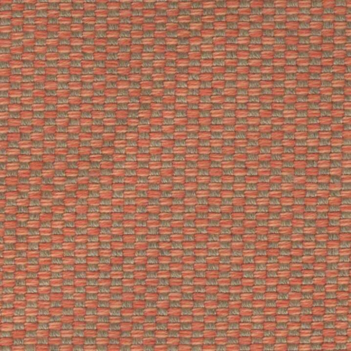 BRUMA CORAL