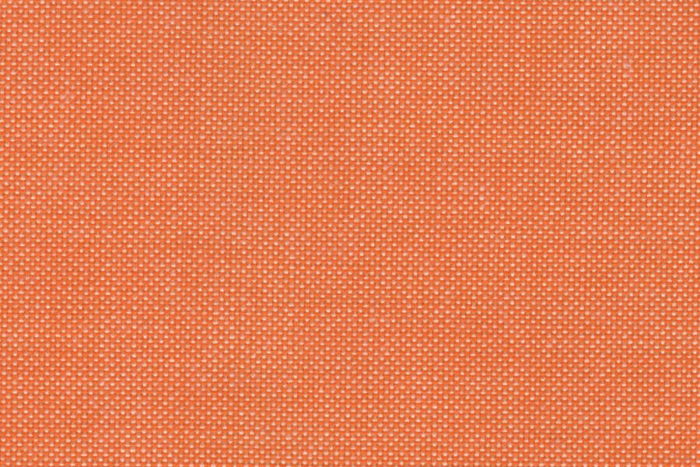 SAULEDA TEXPERT-FR SALMON