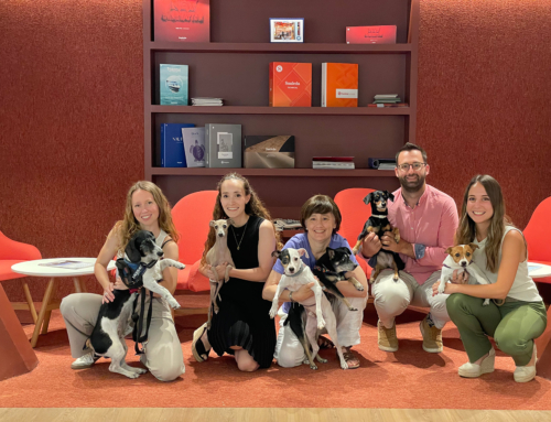 Día internacional del Perro en las oficinas de Sauleda