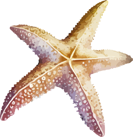 Recurso 2 sea star